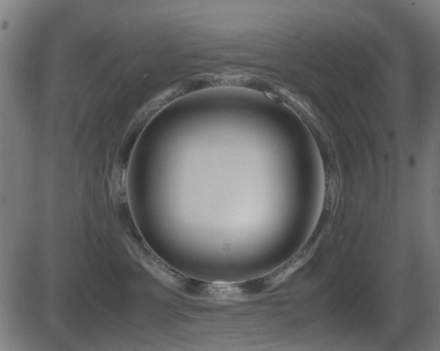 X0000081450429200701121236