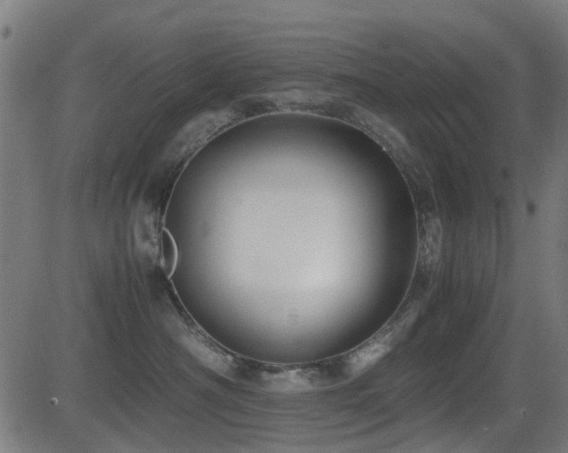 X0000081450430200701121236