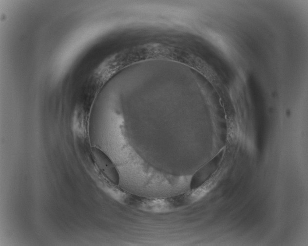 X0000081450431200701121236