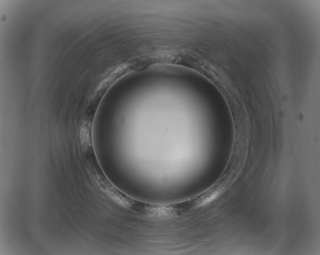 X0000081450432200701121236