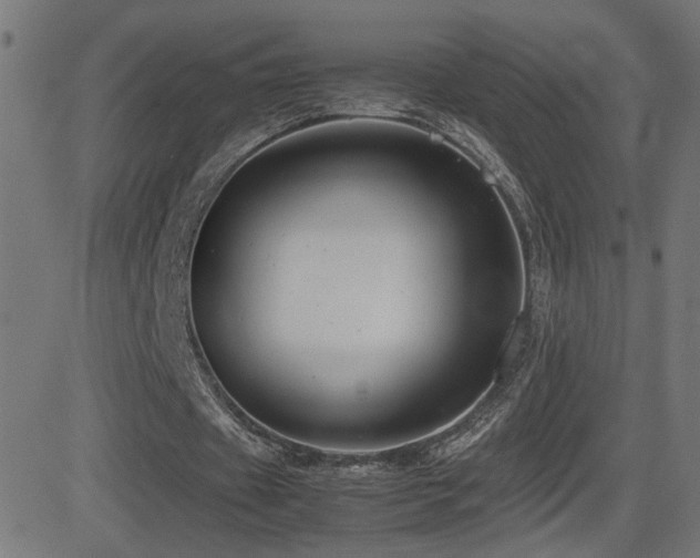 X0000081450433200701121235