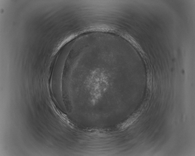 X0000081450434200701121235