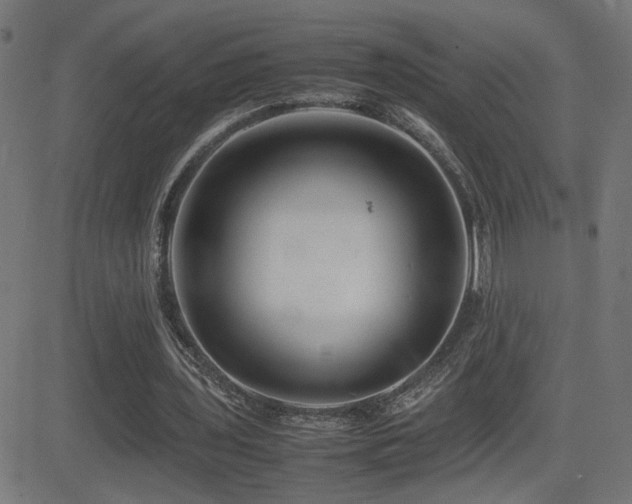 X0000081450435200701121235