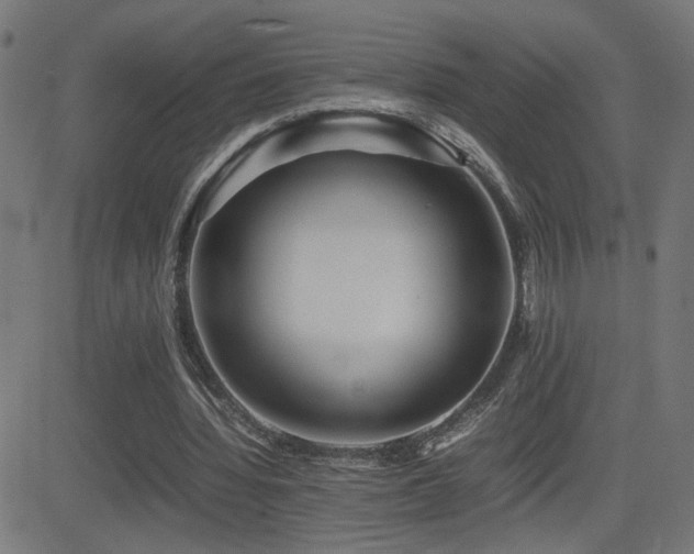 X0000081450436200701121235