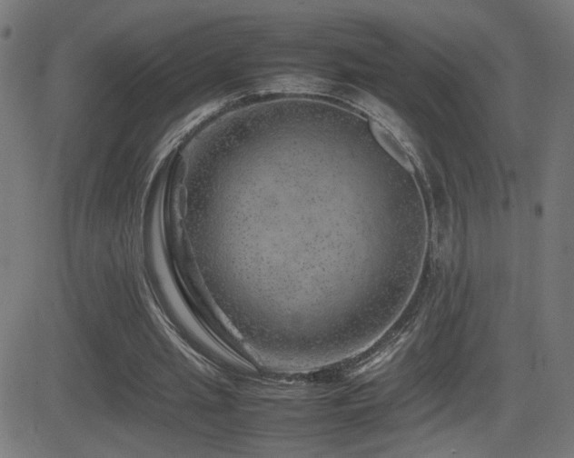 X0000081450437200701121235