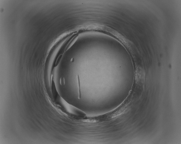 X0000081450438200701121235