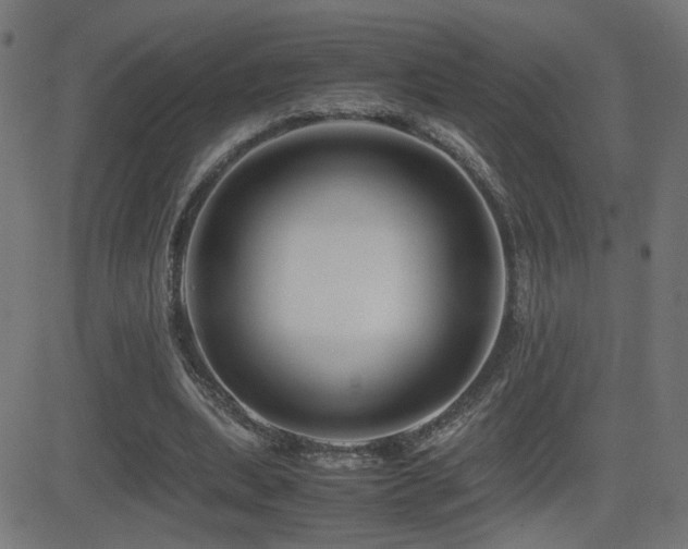 X0000081450439200701121235