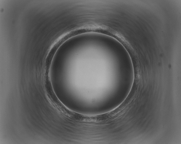 X0000081450440200701121236