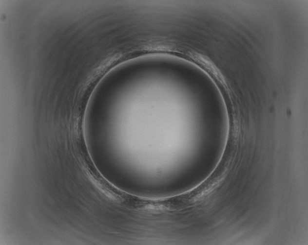 X0000081450441200701121236