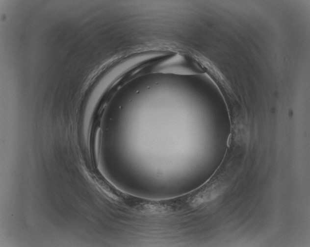 X0000081450442200701121236