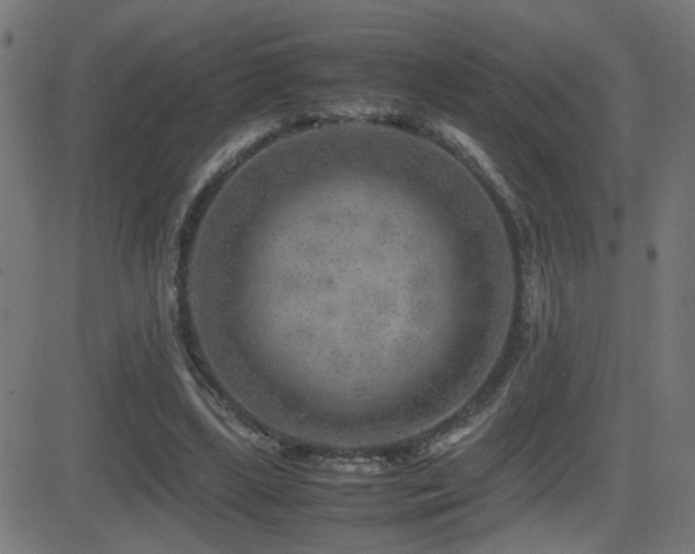 X0000081450443200701121236