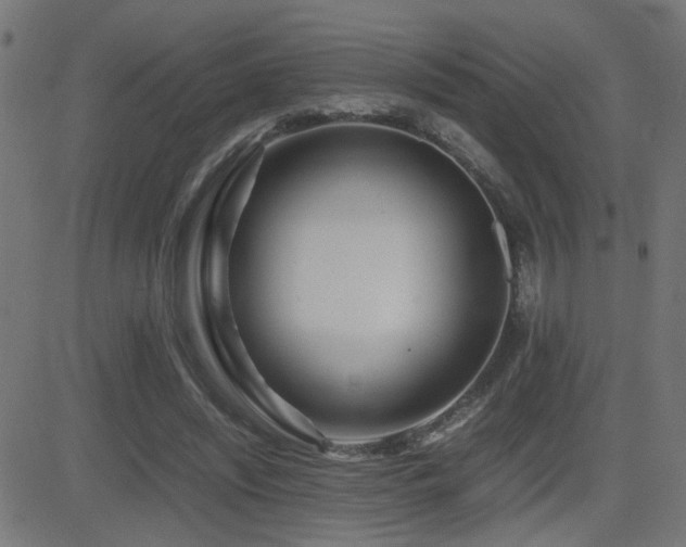 X0000081450444200701121236