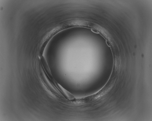 X0000081450445200701121236