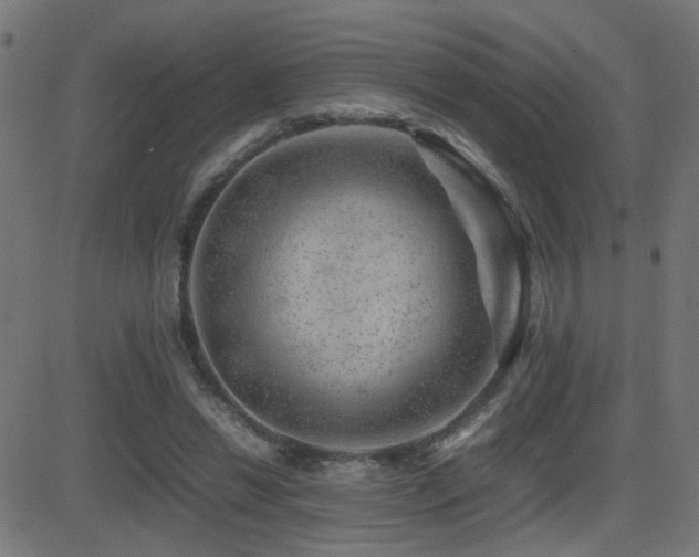 X0000081450446200701121236