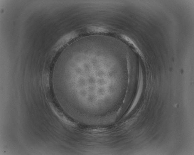 X0000081450447200701121236