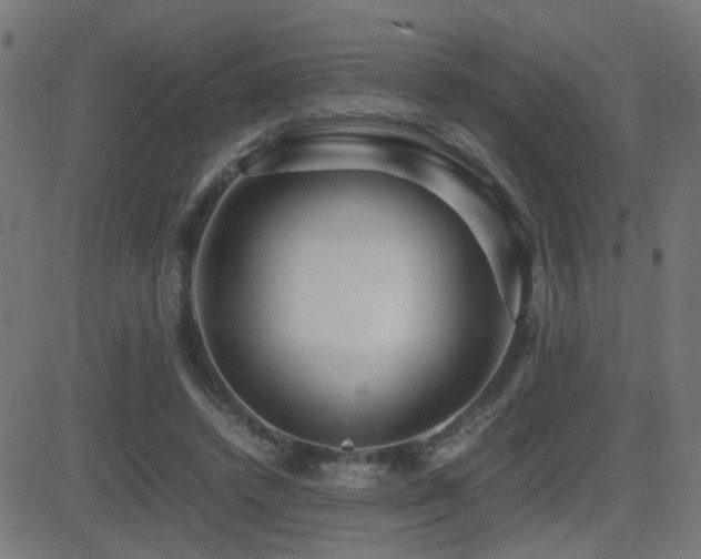 X0000081450448200701121236