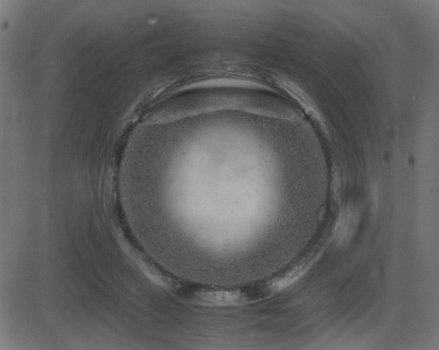 X0000081450449200701121236