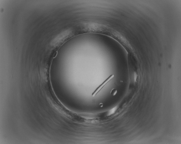 X0000081450450200701121236