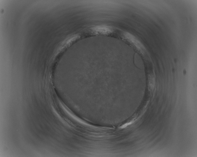 X0000081450451200701121236