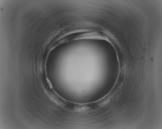 X0000081450452200701121236