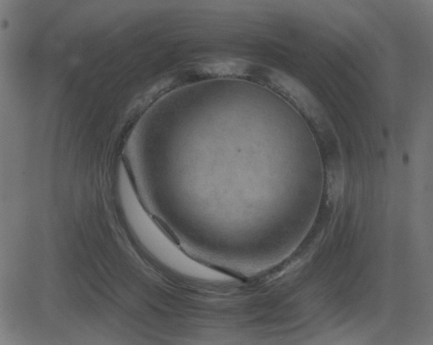 X0000081450453200701121236