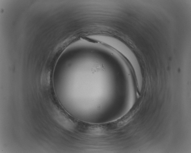 X0000081450454200701121236