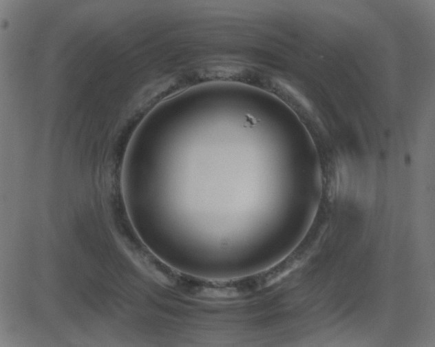 X0000081450455200701121236