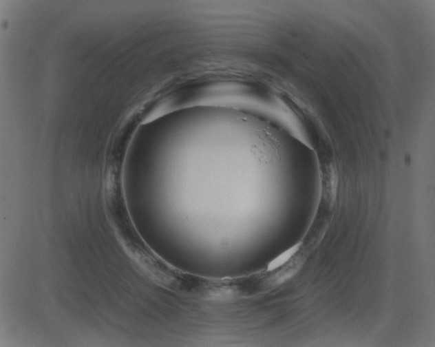 X0000081450456200701121236