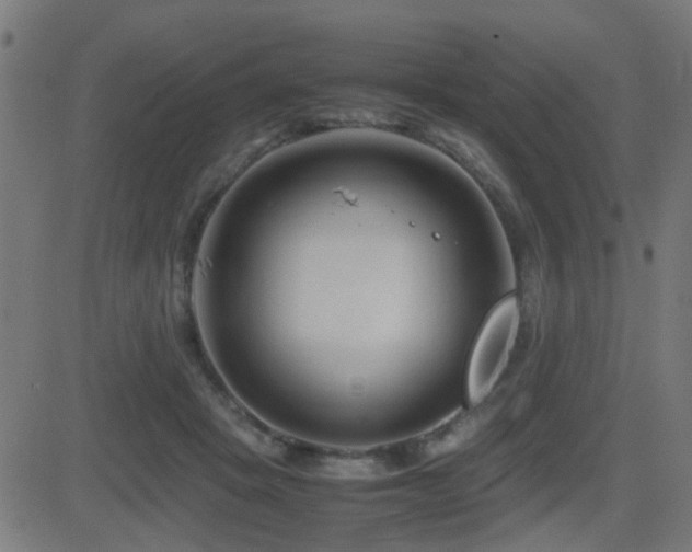 X0000081450457200701121236