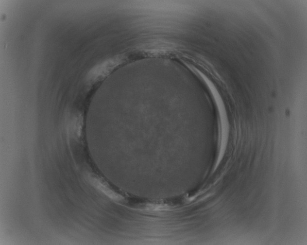 X0000081450458200701121236