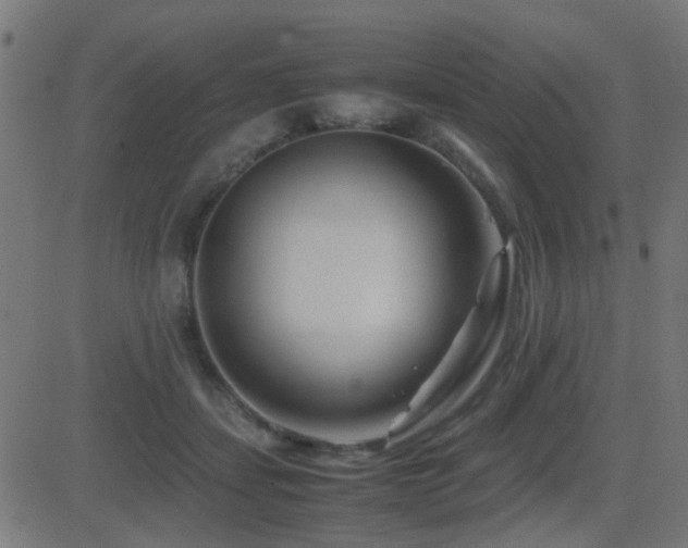 X0000081450459200701121236