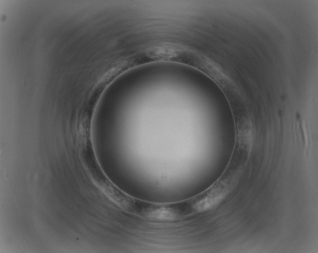 X0000081450460200701121236