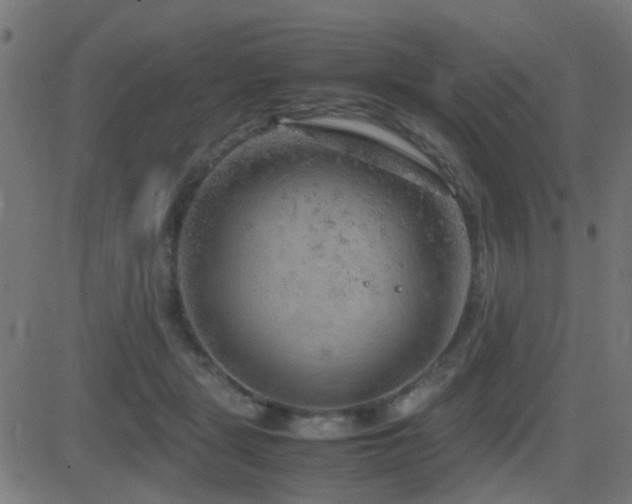 X0000081450461200701121236