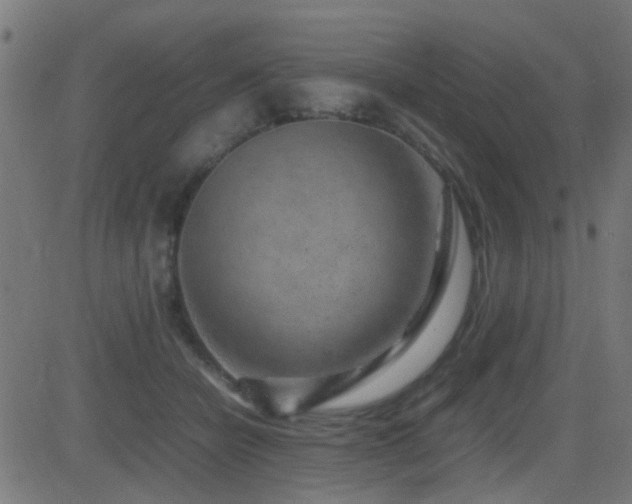 X0000081450462200701121236