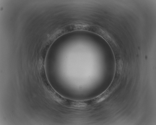 X0000081450463200701121236