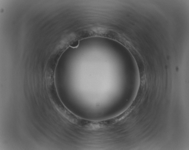 X0000081450464200701121236