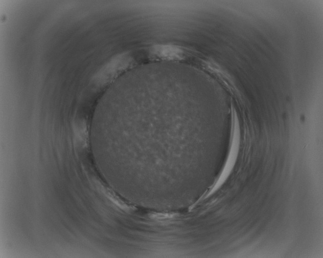 X0000081450465200701121236