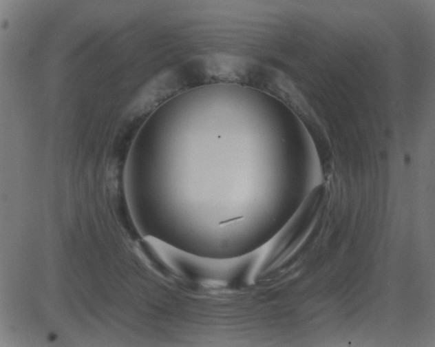 X0000081450466200701121236