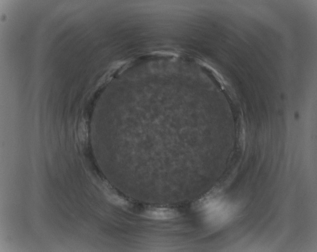 X0000081450467200701121236