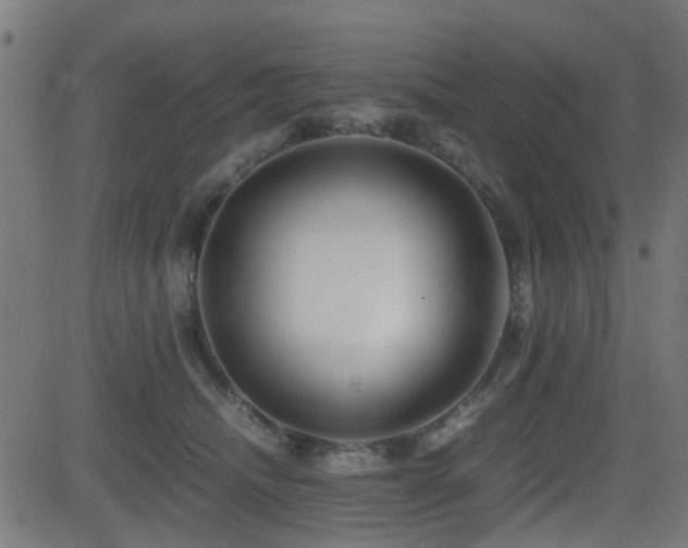 X0000081450468200701121236