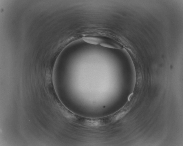 X0000081450469200701121236