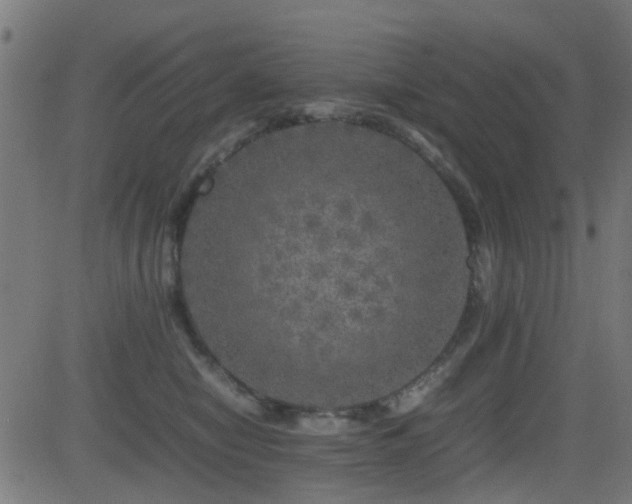 X0000081450470200701121236