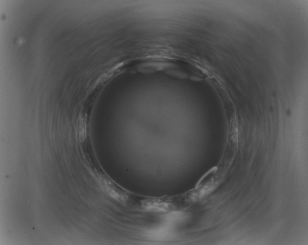 X0000081450471200701121236