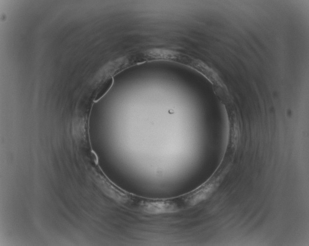 X0000081450473200701121236