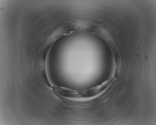 X0000081450474200701121236