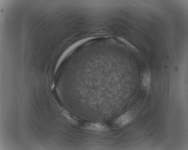 X0000081450475200701121236