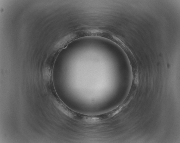 X0000081450476200701121236