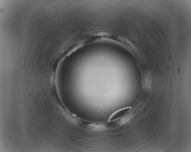 X0000081450477200701121236