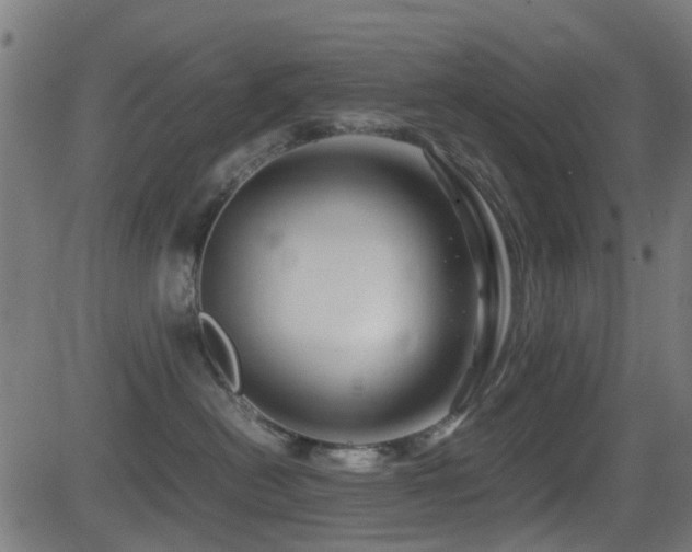 X0000081450478200701121236