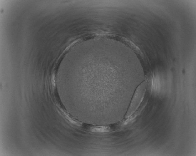 X0000081450479200701121236